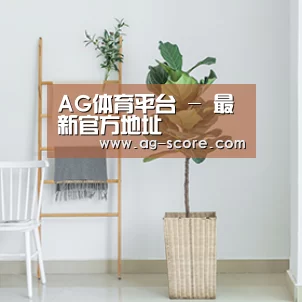 产品名称六(图1)