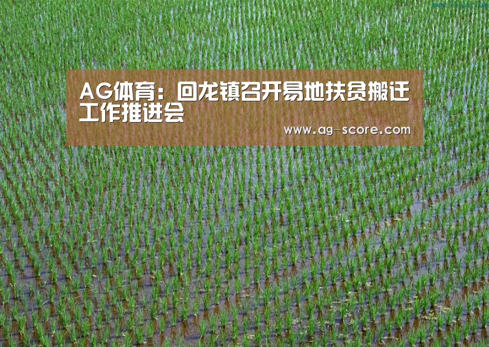 AG体育:回龙镇召开易地扶贫搬迁工作推进会(图2) AG赛事