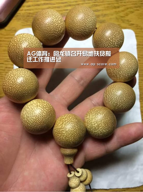 AG体育:回龙镇召开易地扶贫搬迁工作推进会(图1) AG足球