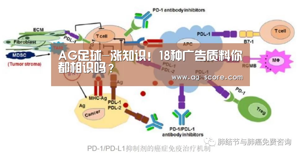 AG足球-涨知识!18种广告质料你都相识吗?(图1) AG体育