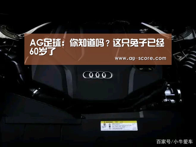 AG足球