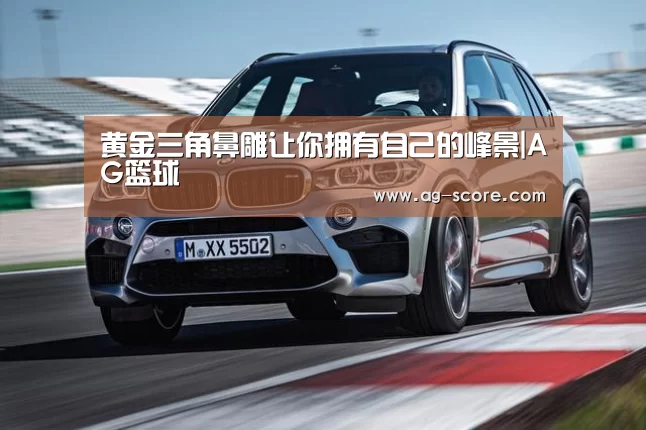 黄金三角鼻雕让你拥有自己的峰景|AG篮球(图1) AG篮球