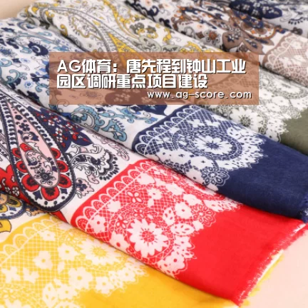 AG体育:唐先程到钟山工业园区调研重点项目建设(图3) AG篮球