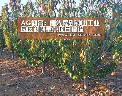 AG体育:唐先程到钟山工业园区调研重点项目建设(图2) AG篮球
